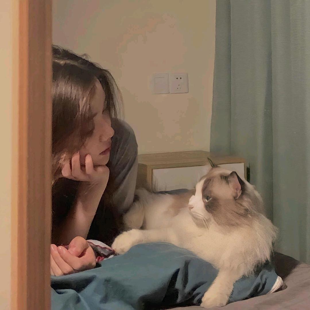 汤圆不圆💕