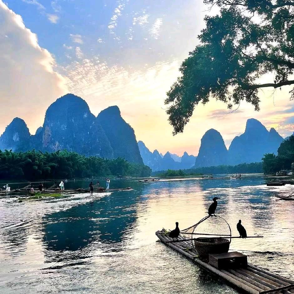 祥瑞.福泽陈哥