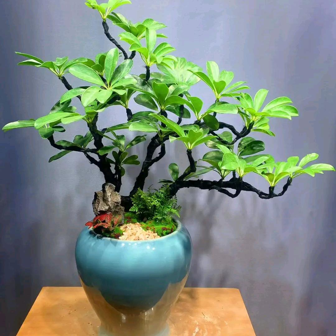 莫忘初衷