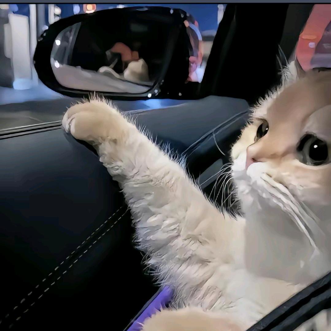 华联三楼道一裤装