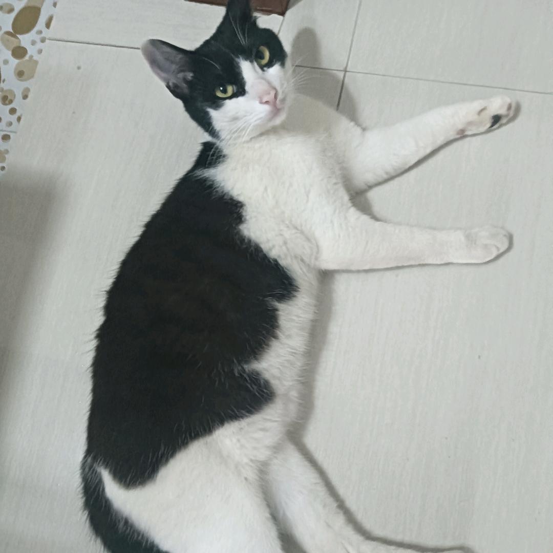 当那一天来临