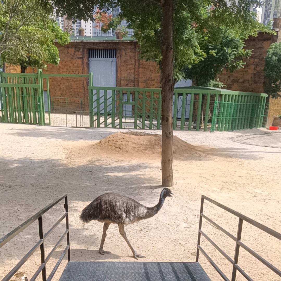 独特的香炉造型