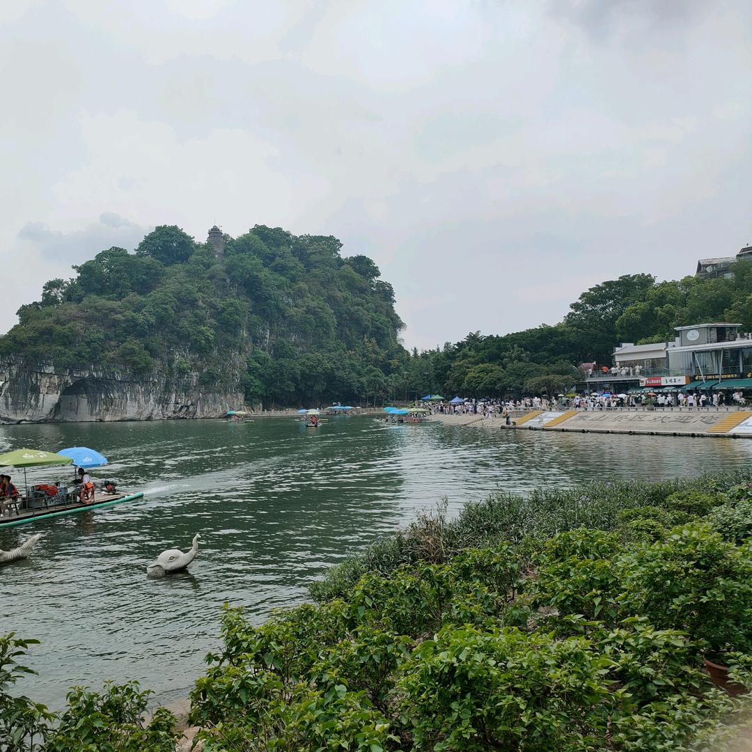 ZHONGDM