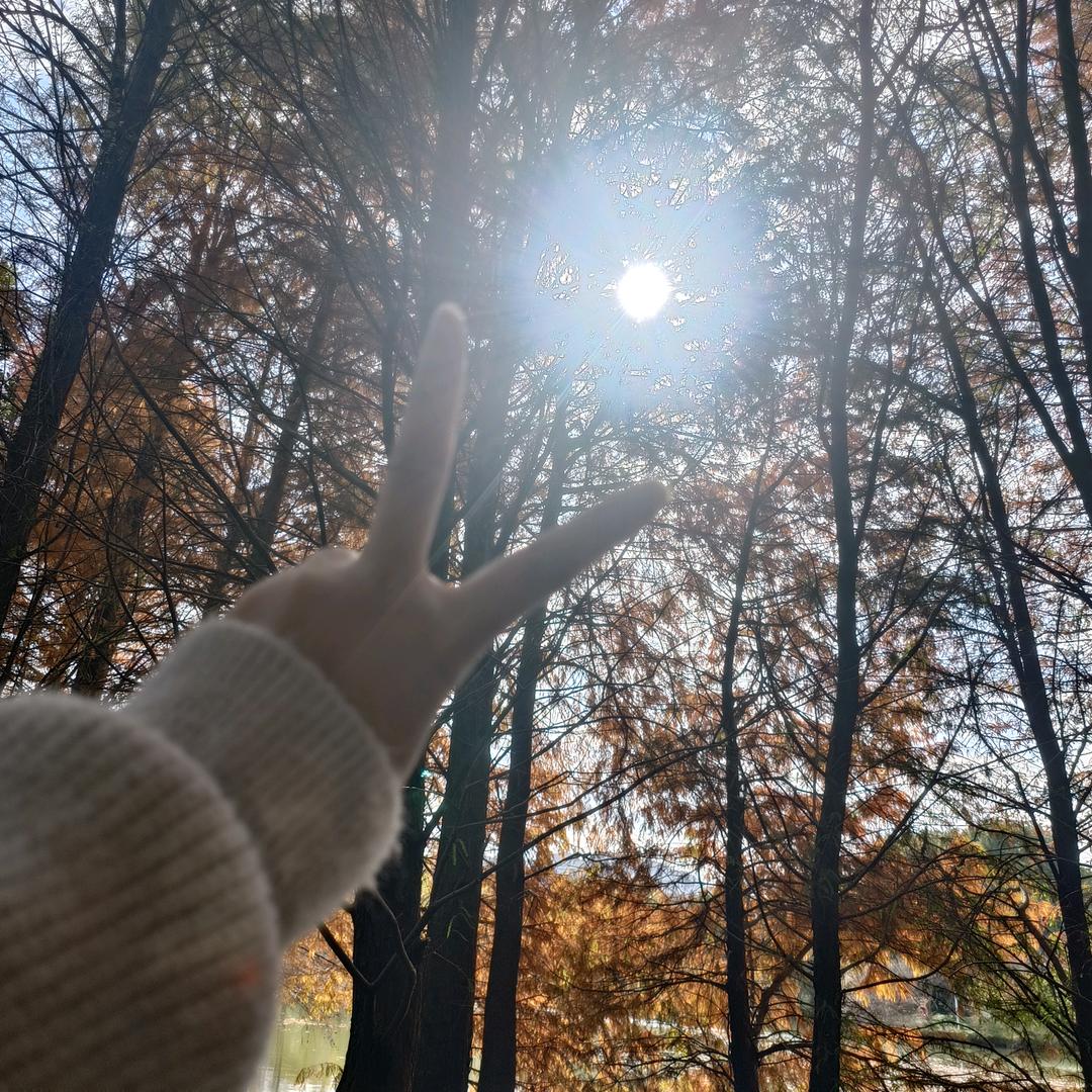 🌹🌹🌹💞💞💞💞💜💜