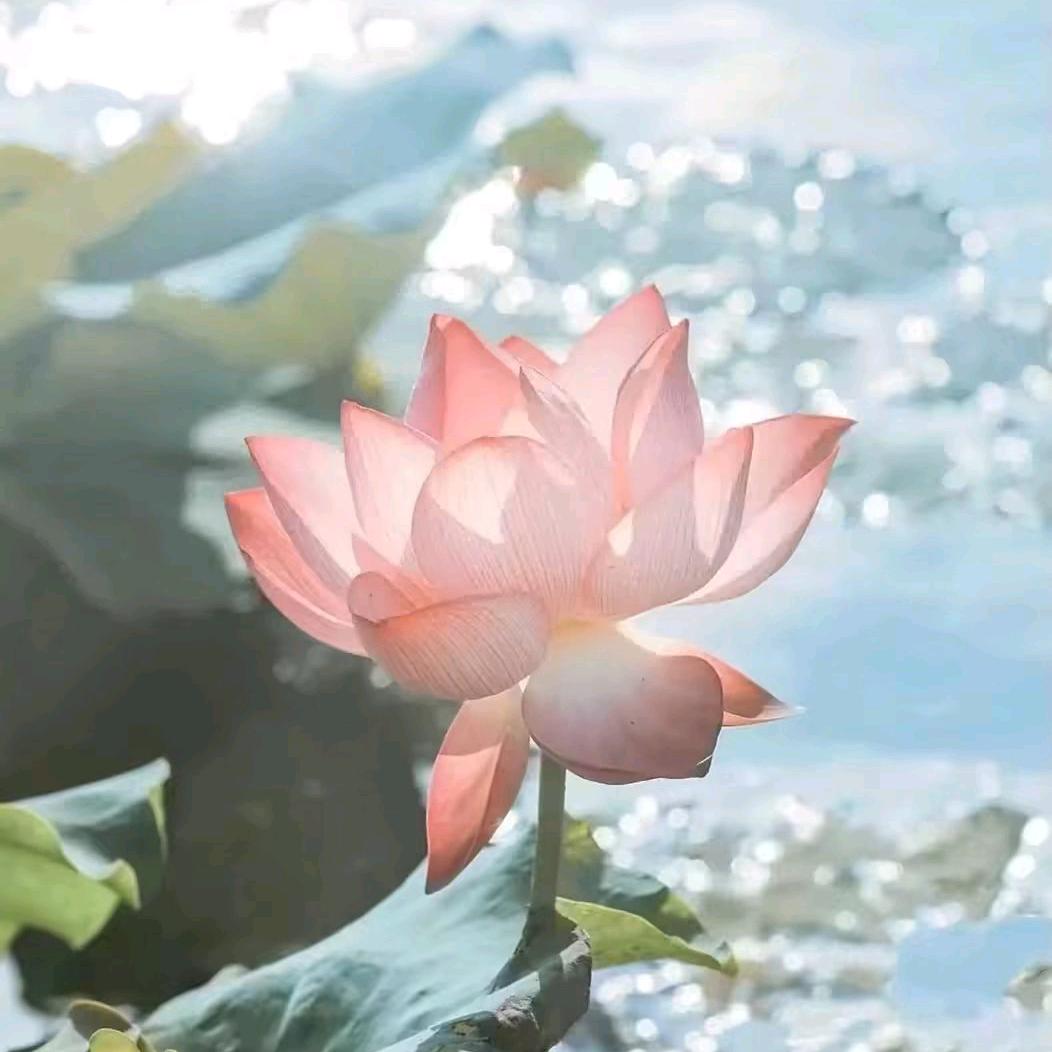 ·头像
