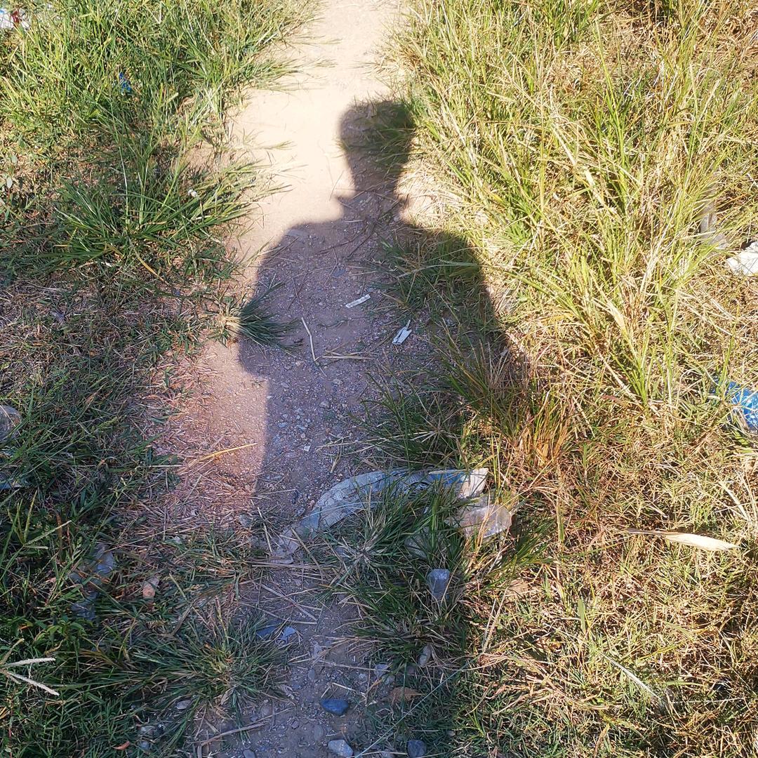 朕的后宫好诱人