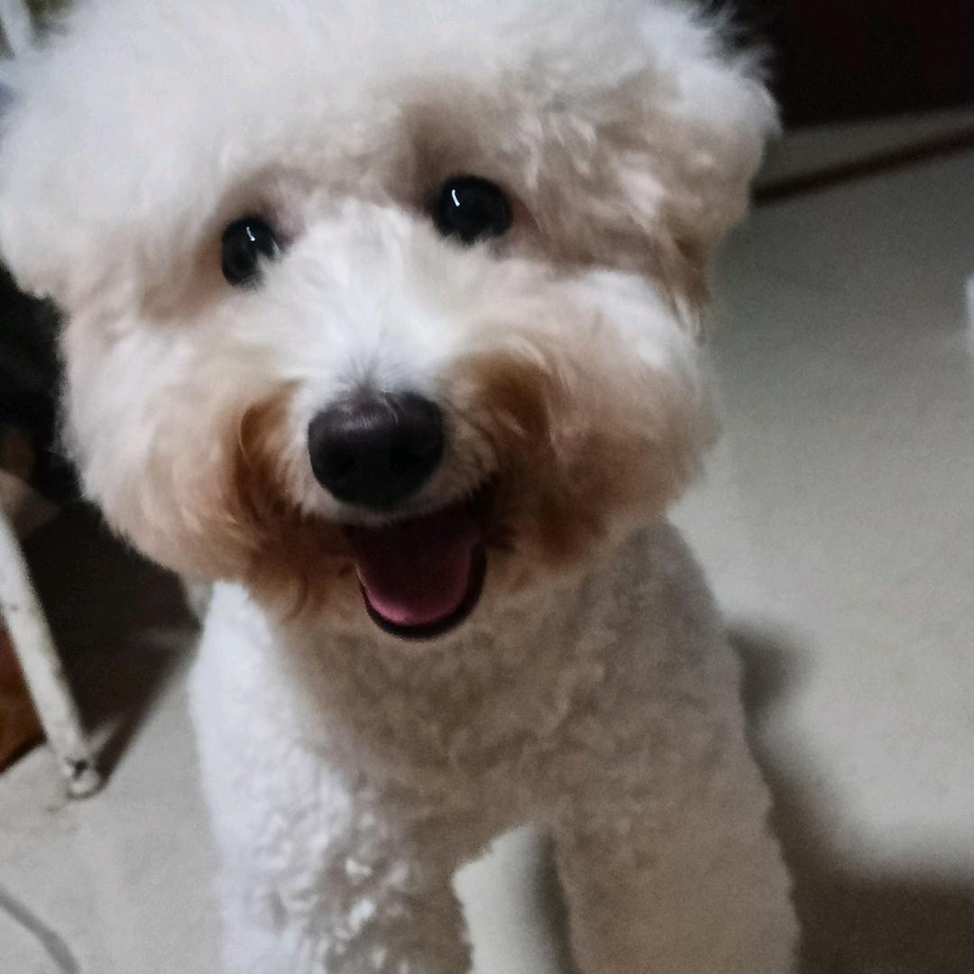 卖小女孩的火柴