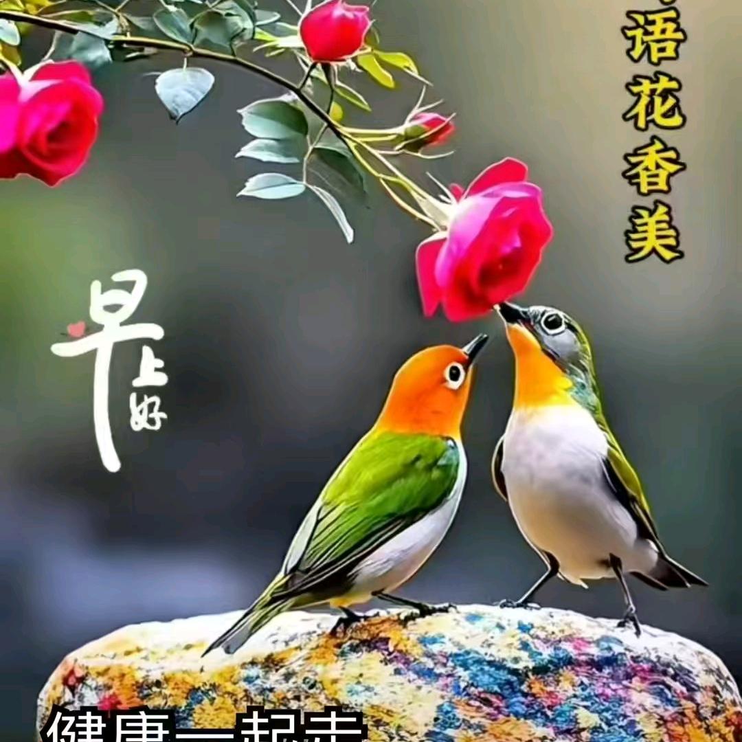 ༃ༀ烟酒༒ཽ懂人心༺༖༈