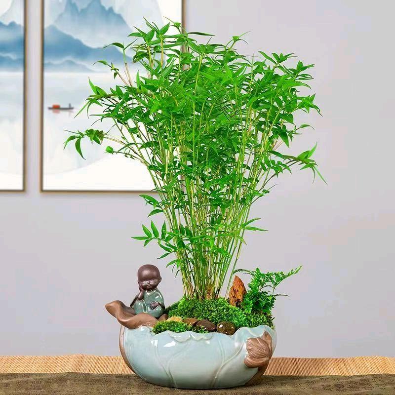 平安幸福🍀