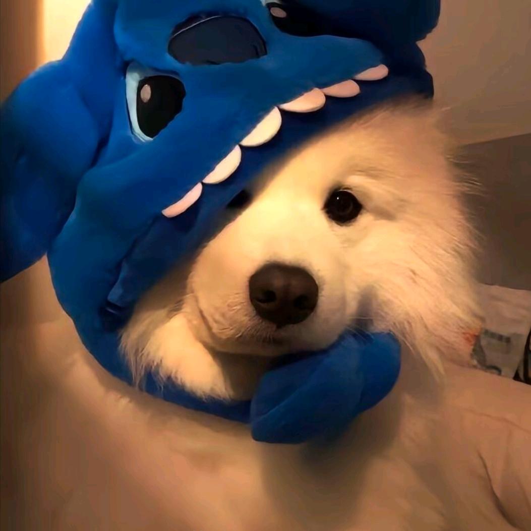 浮名