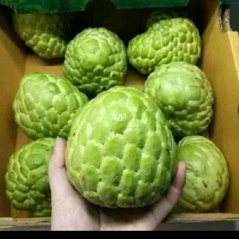 唐