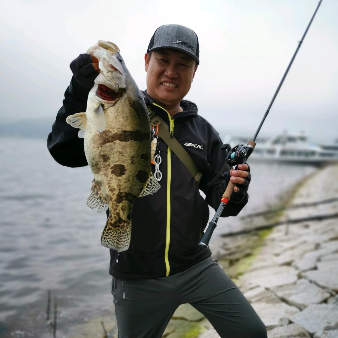 鱼知稻路亚