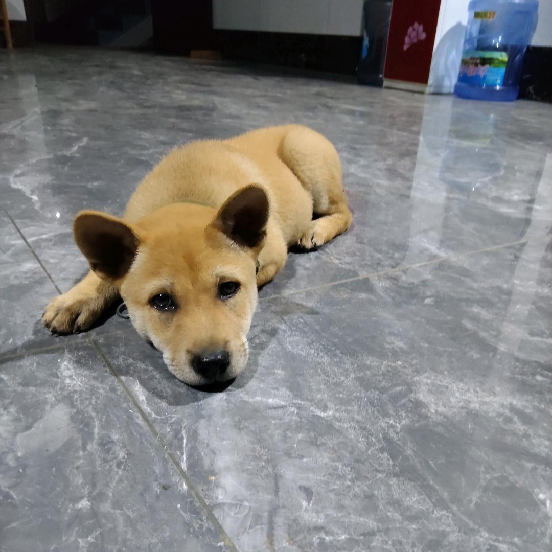 桂m仔🤠