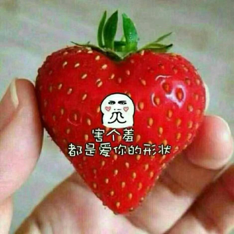 认识缘分