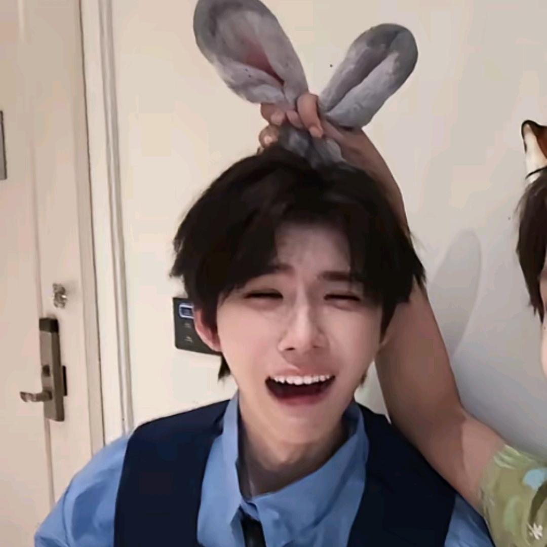 苹果苹果兔🍎🍂