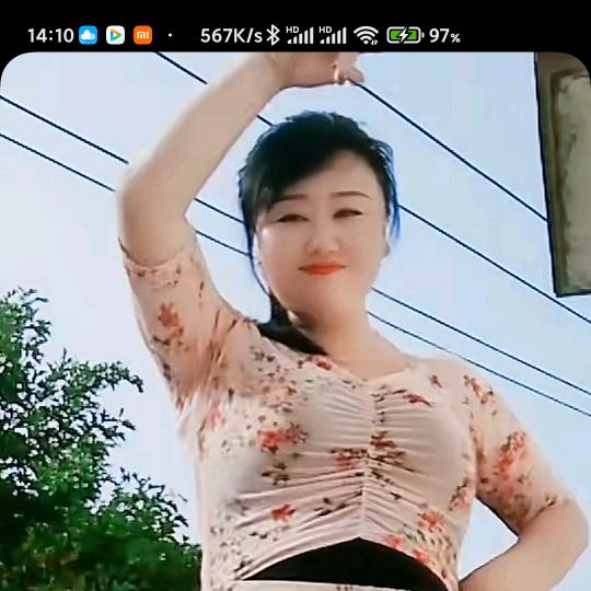 柿柿如意