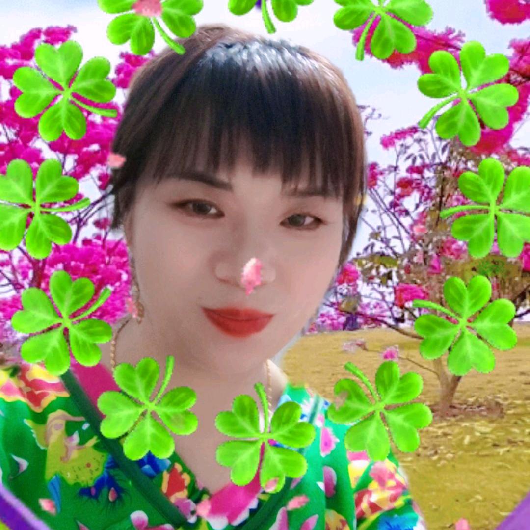 紫菜姐