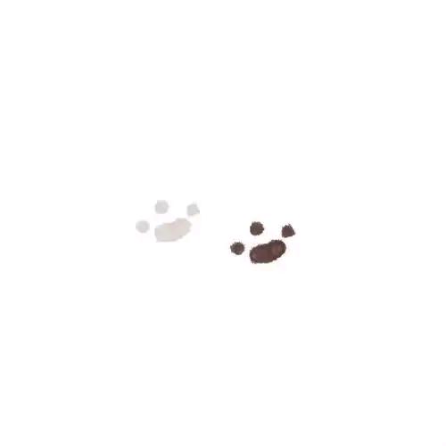 晴(●—●)