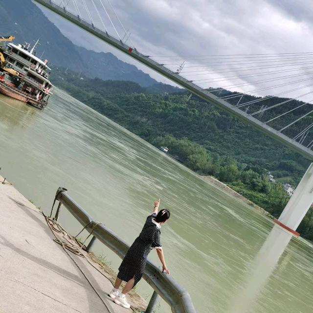 飞翔。