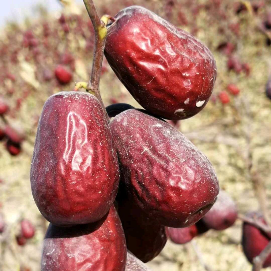 秀霞天然干果优品小铺