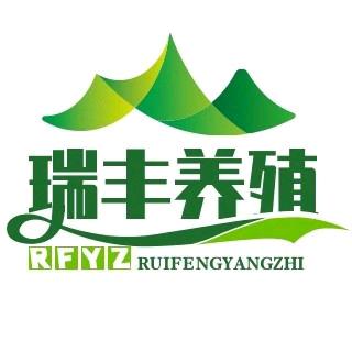 瑞丰养殖