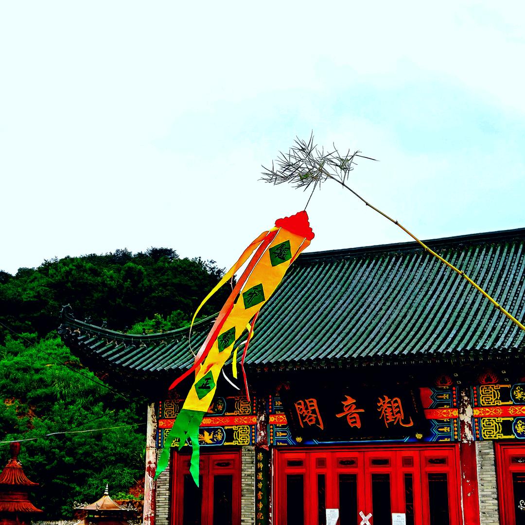 是信初