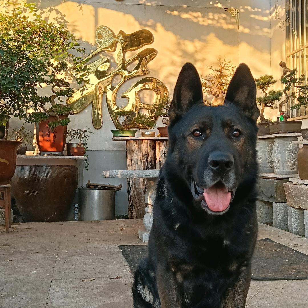 蓬莱LDW【院来思你】小院