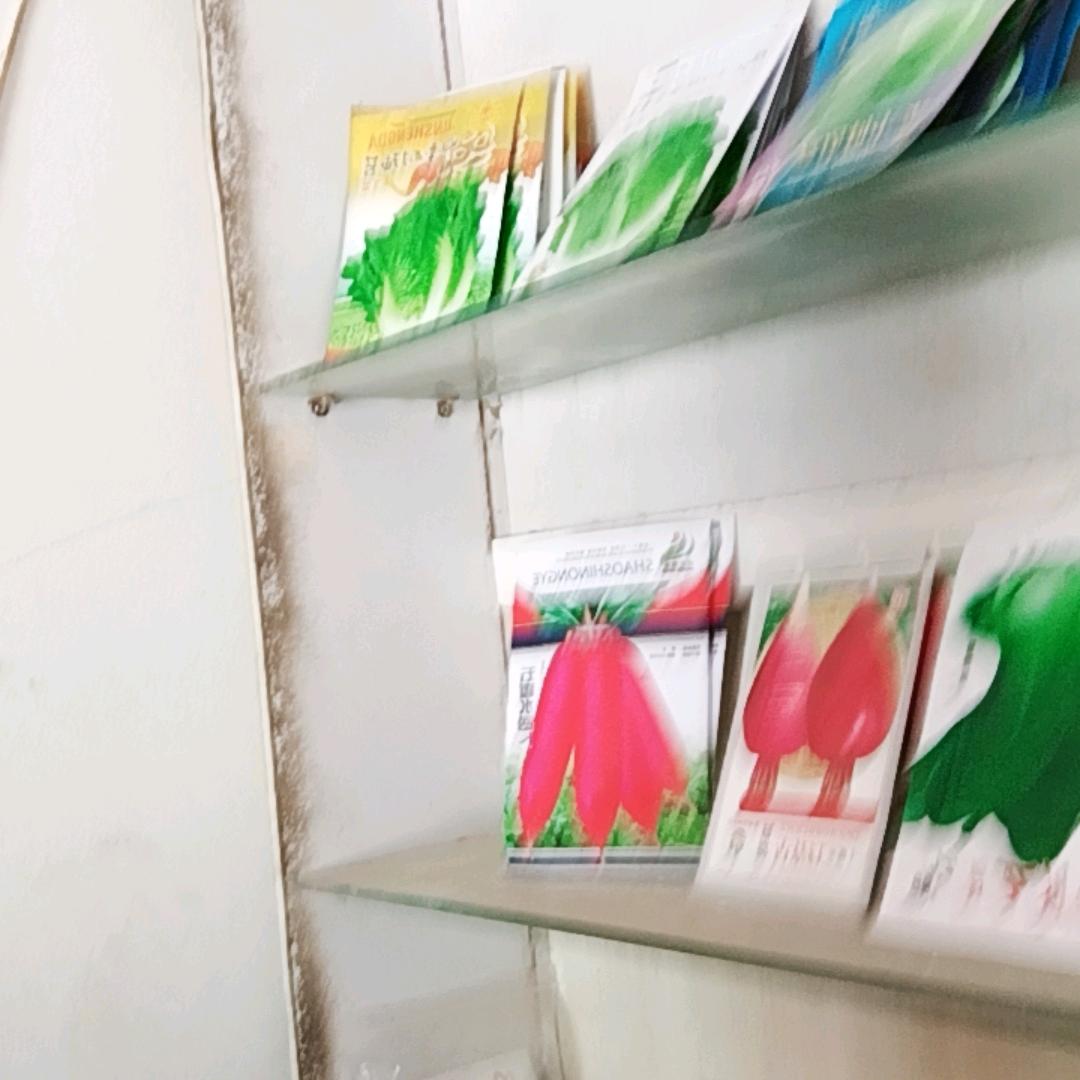 用户973744643884