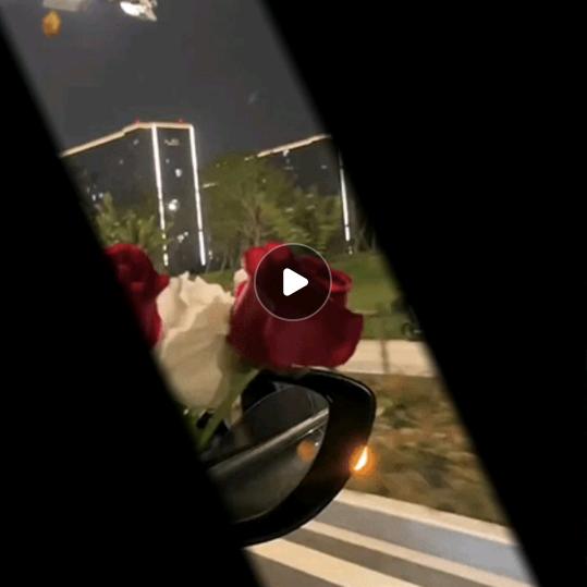 (*^ω^*)小静吖吖吖