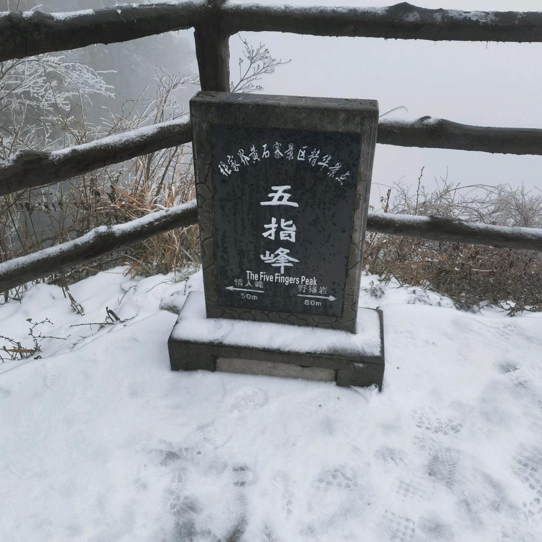 你好呀美女