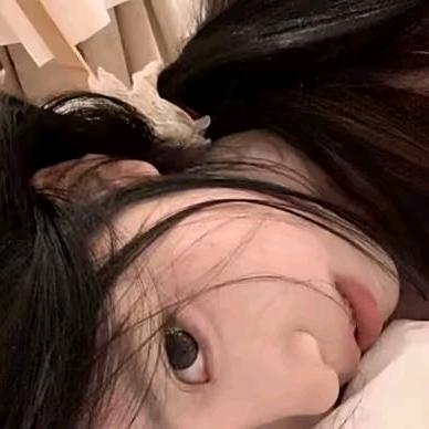 做只猫