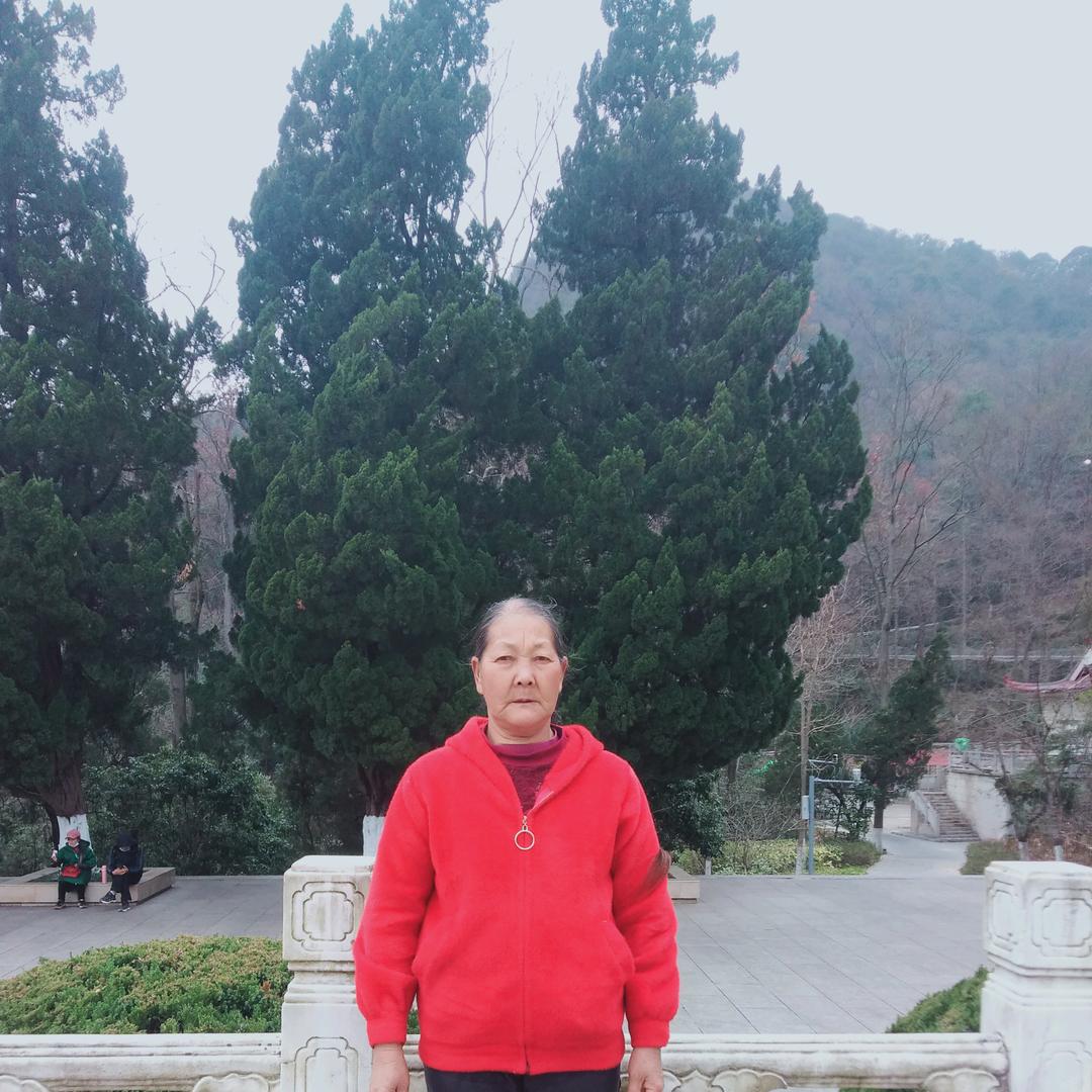 随风知我意
