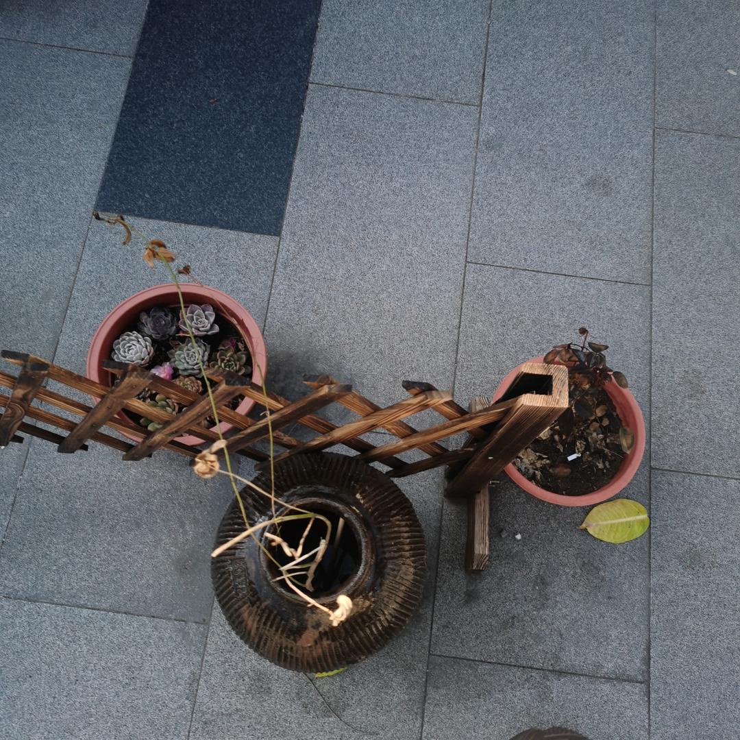 随便取个名