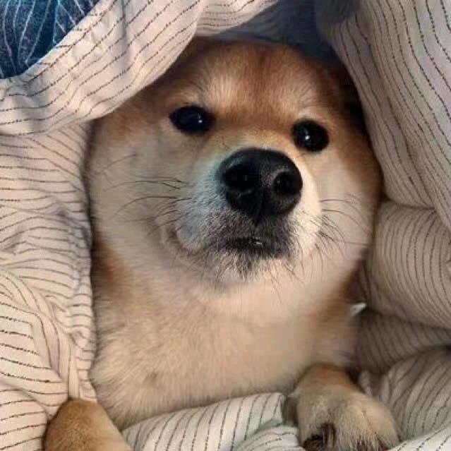 󠀀󠀀