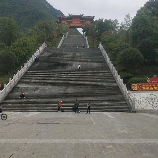 合群鸟