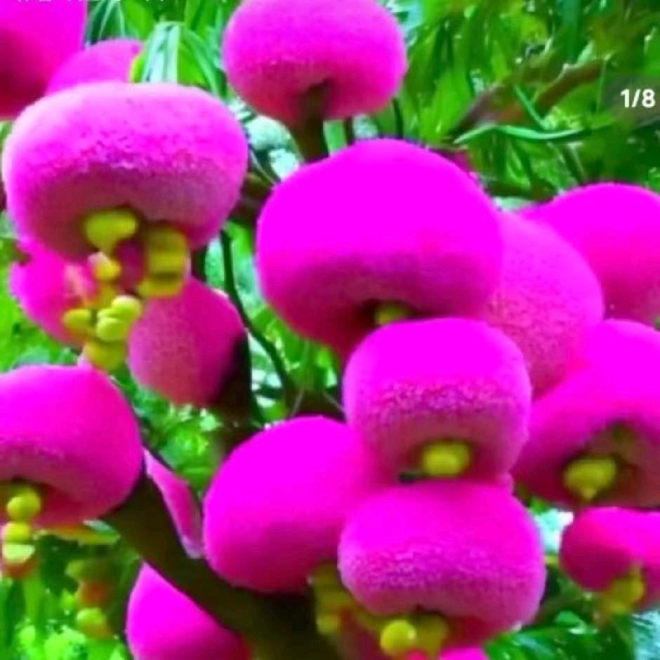 用户9316051984682