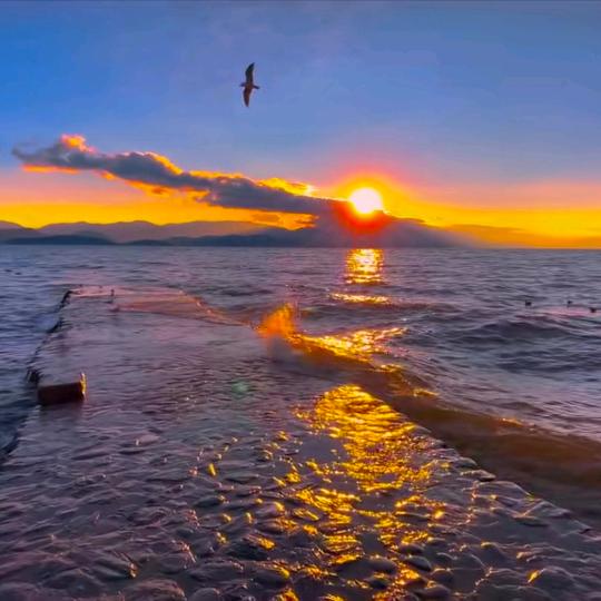 浩轩