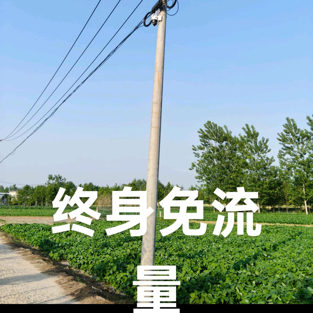 农村阳哥生活日记