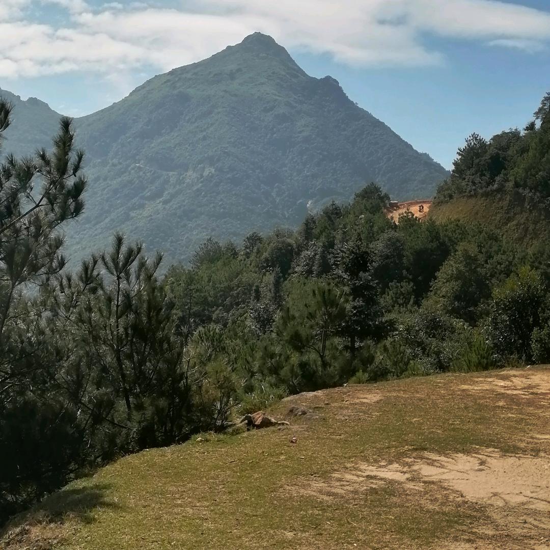 音乐有风景