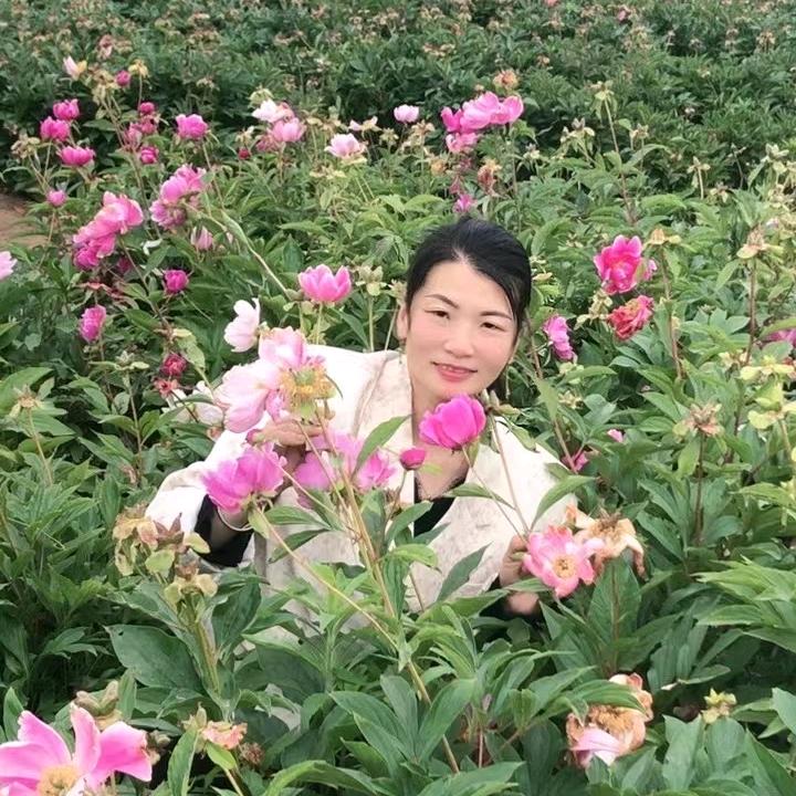 苍台老涛酱大骨