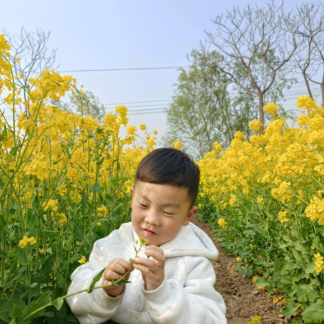 辰辰
