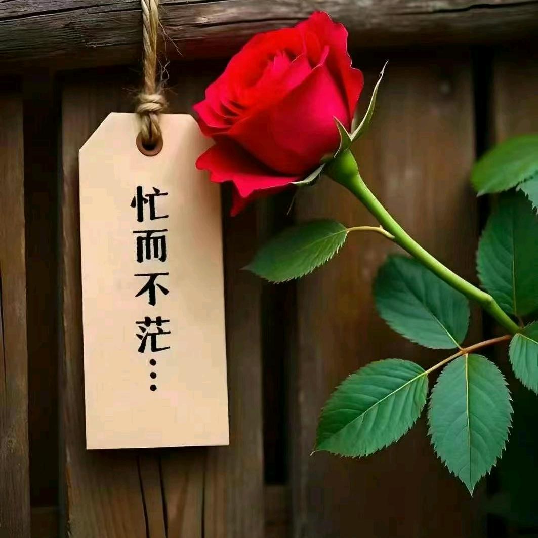大城小爱