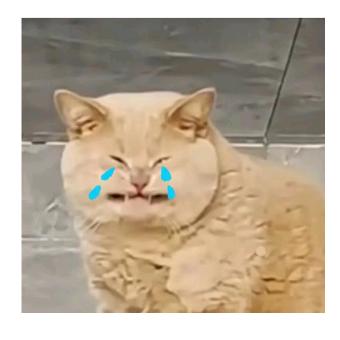 天花板按你