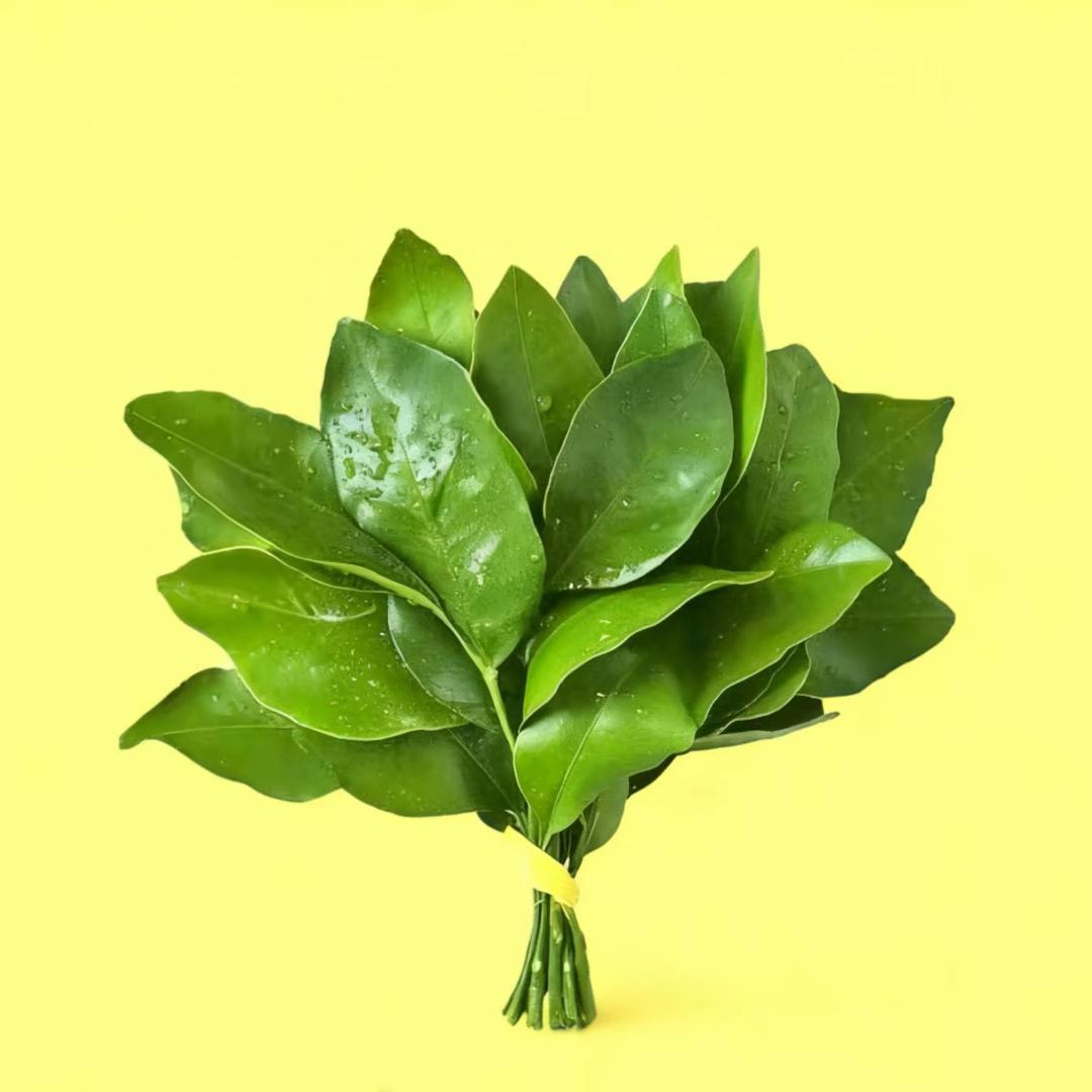 小雨