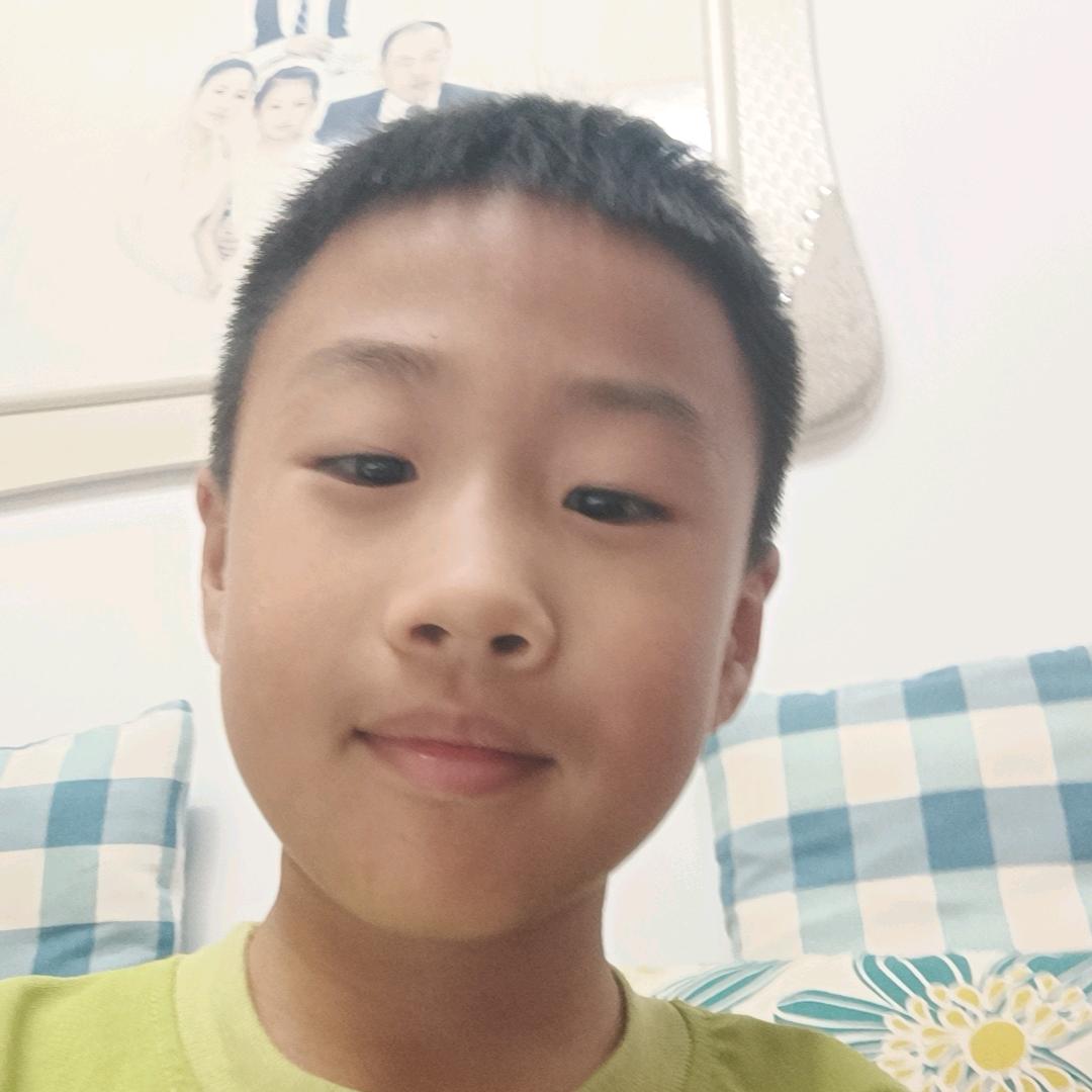 黑贝