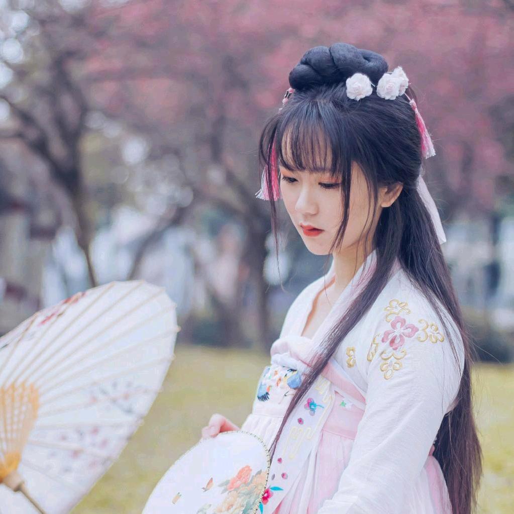白鸟