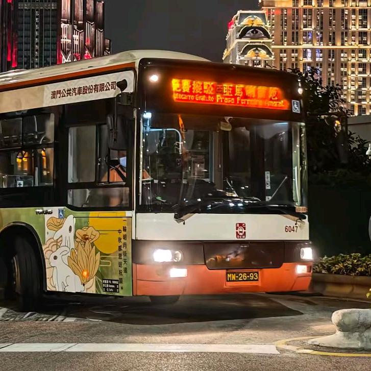 6047-LAM