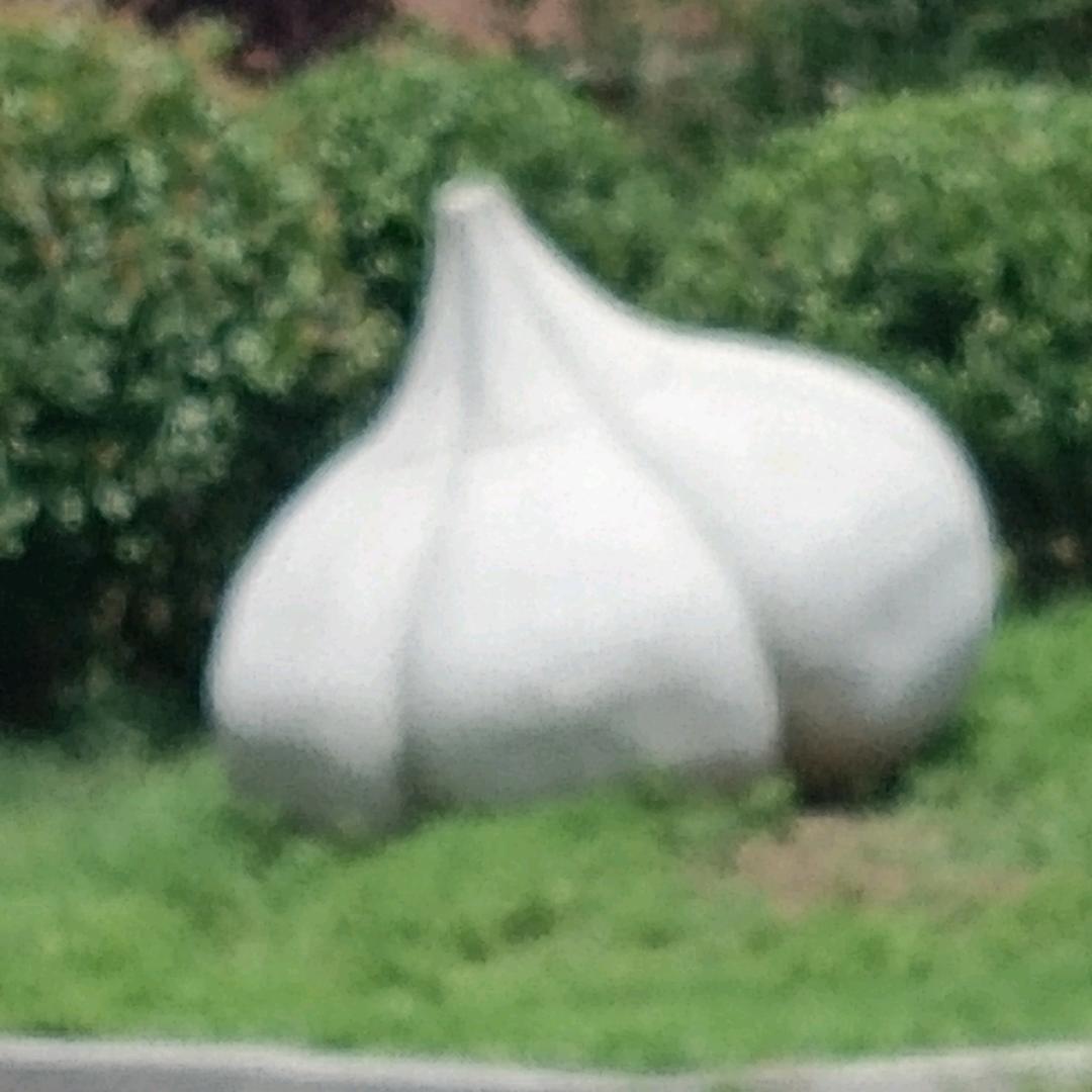 专业管理大蒜👍👍