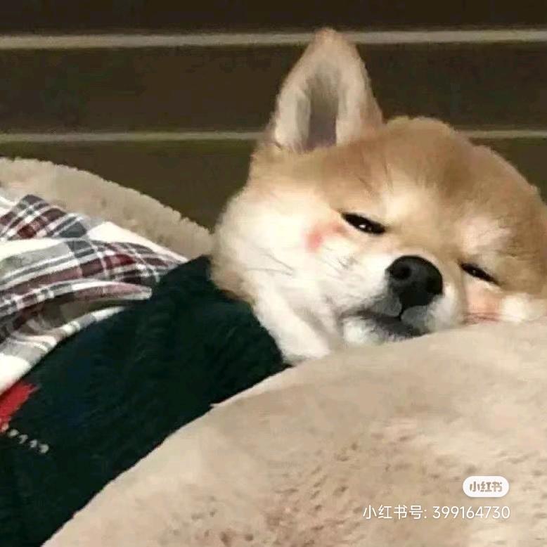 小杨有点抑