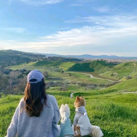 爱吃香菜的胡萝卜🥕